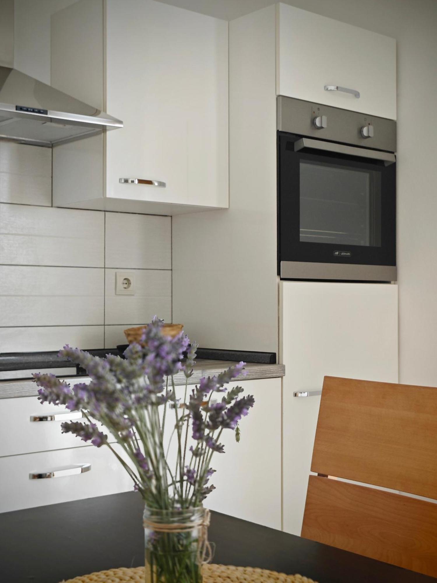 Apartment Arta Водице Екстер'єр фото