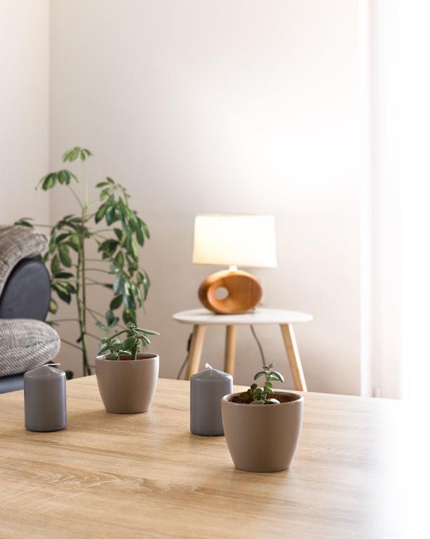 Apartment Arta Водице Екстер'єр фото